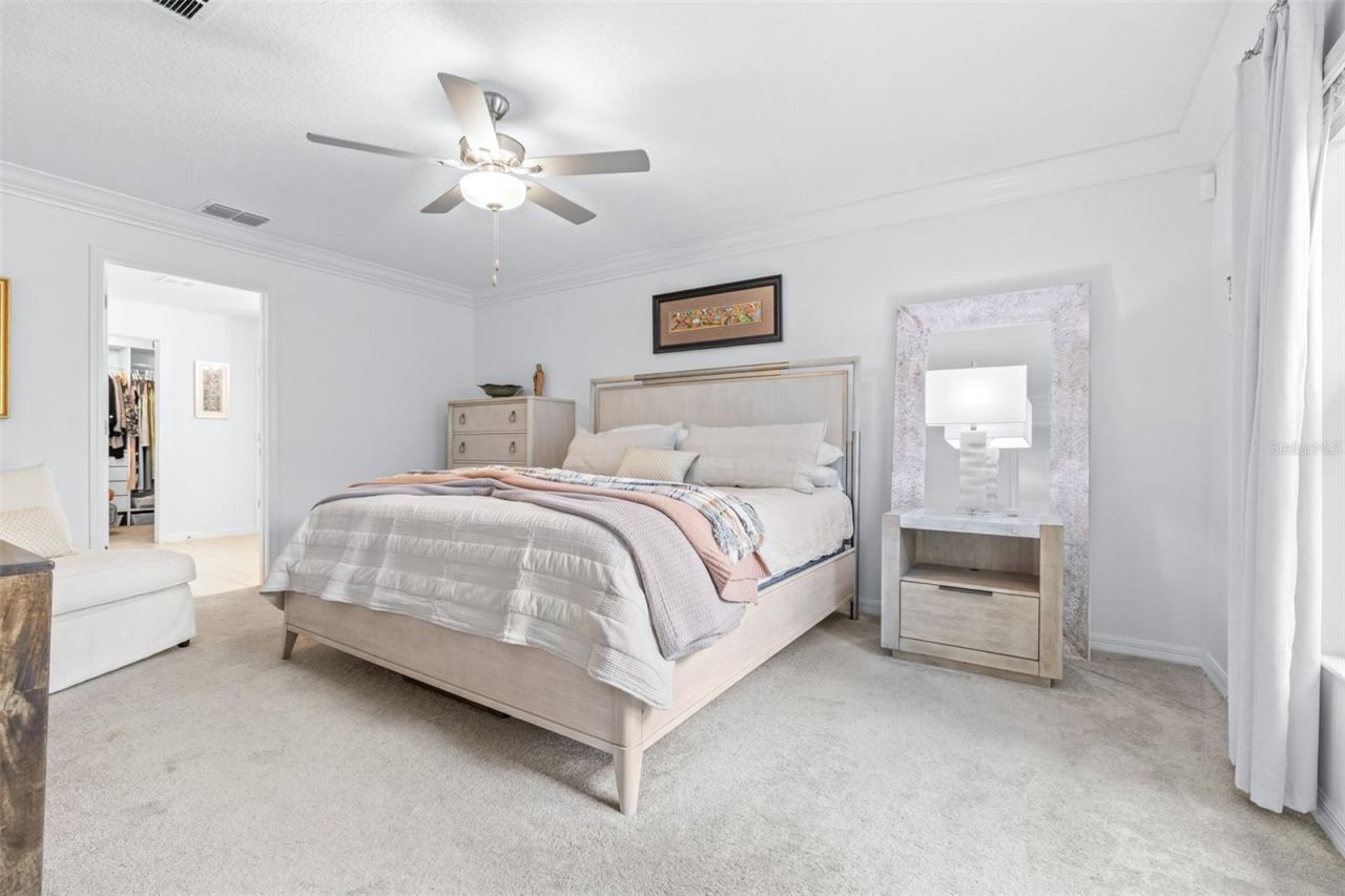 8969 Little Bluestem Drive , Land O Lakes, FL 34637 Photo