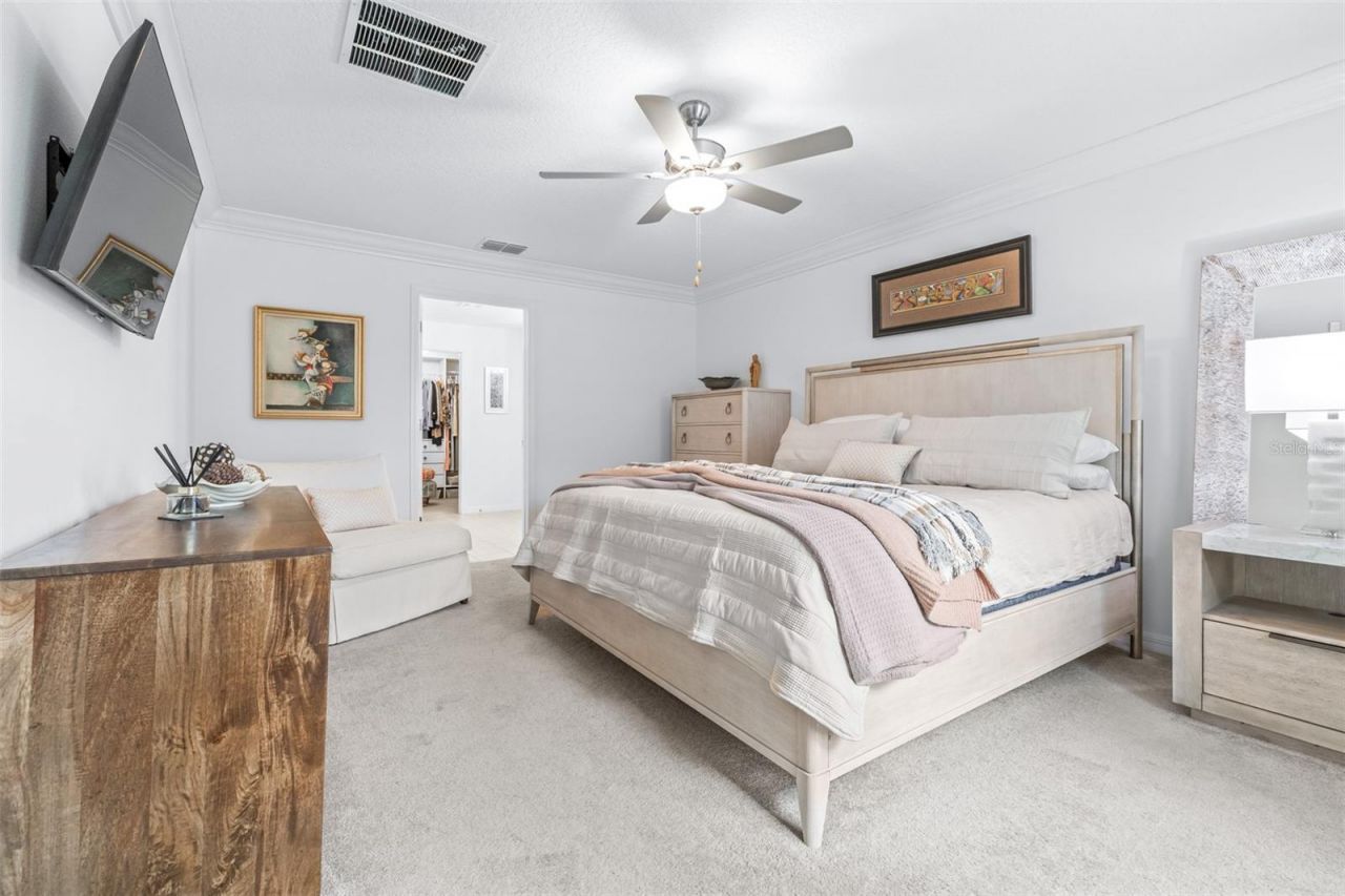 8969 Little Bluestem Drive , Land O Lakes, FL 34637 Photo