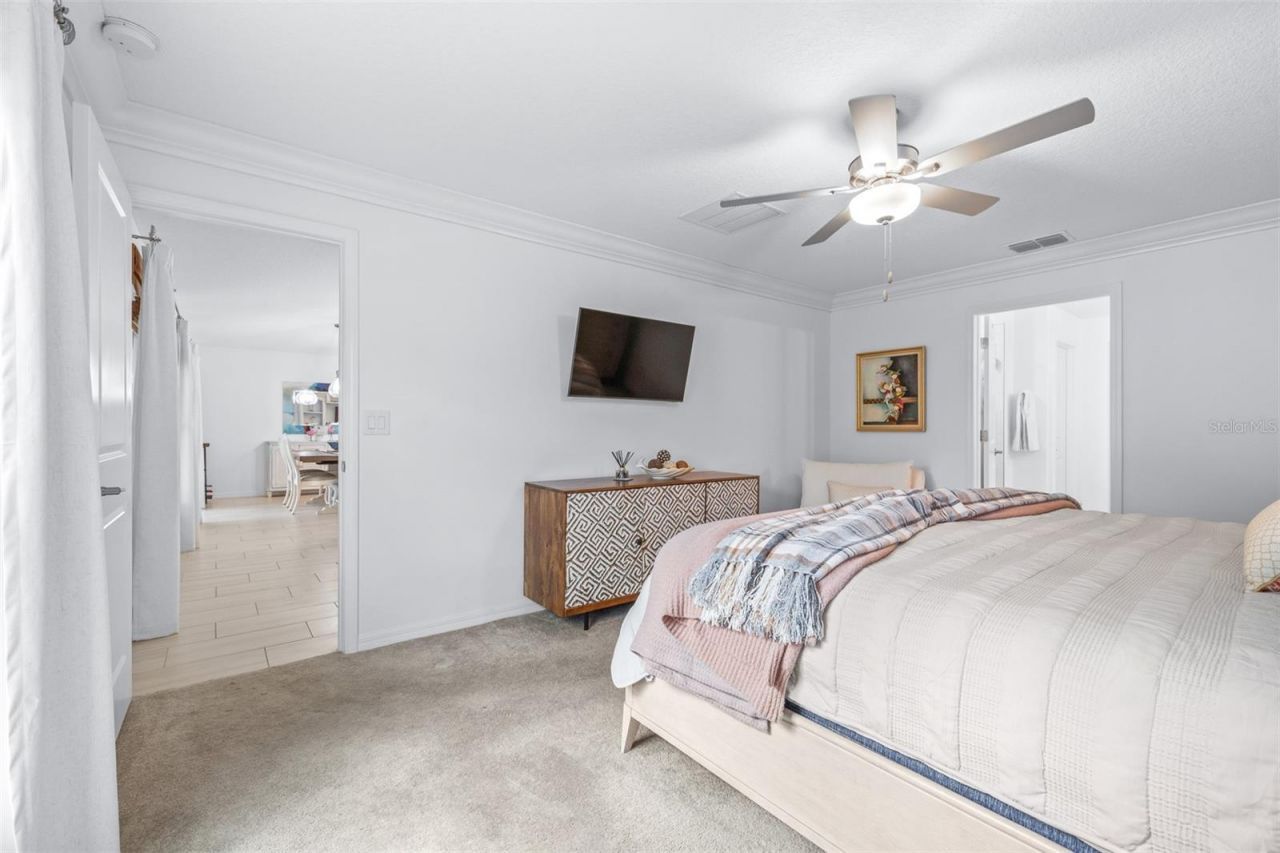 8969 Little Bluestem Drive , Land O Lakes, FL 34637 Photo