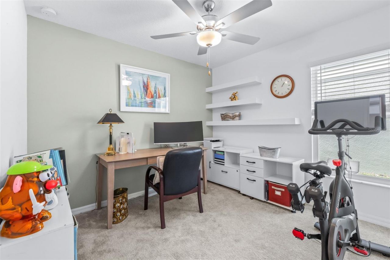 8969 Little Bluestem Drive , Land O Lakes, FL 34637 Photo