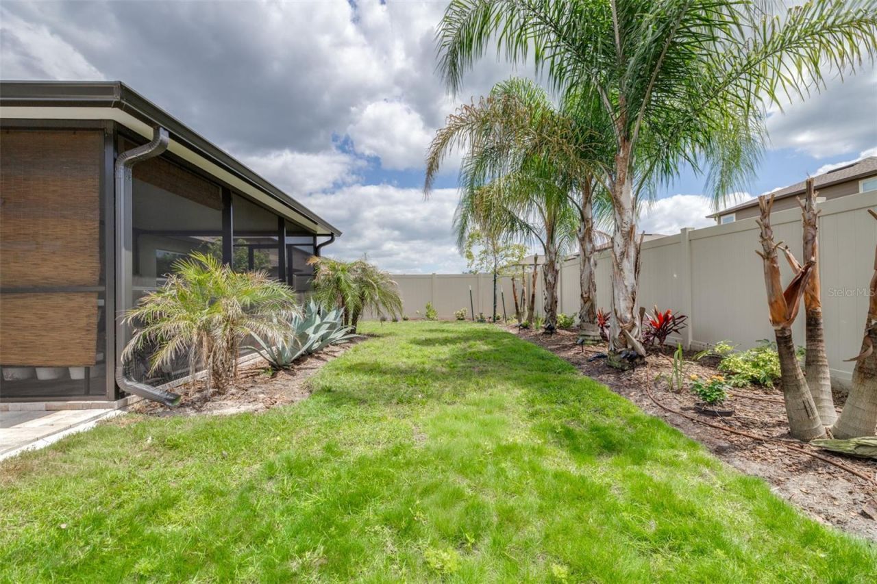 8969 Little Bluestem Drive , Land O Lakes, FL 34637 Photo