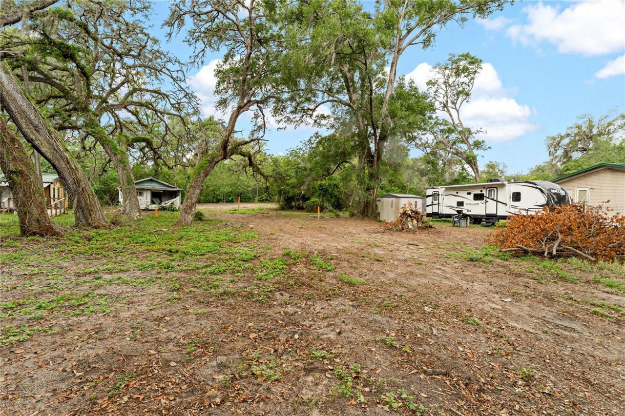 40611 Otis Allen Road, Zephyrhills, FL 33540 Photo