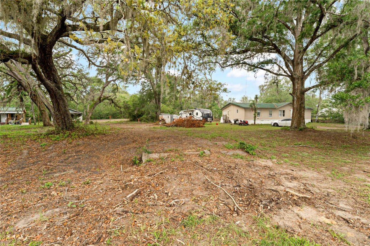 40611 Otis Allen Road, Zephyrhills, FL 33540 Photo
