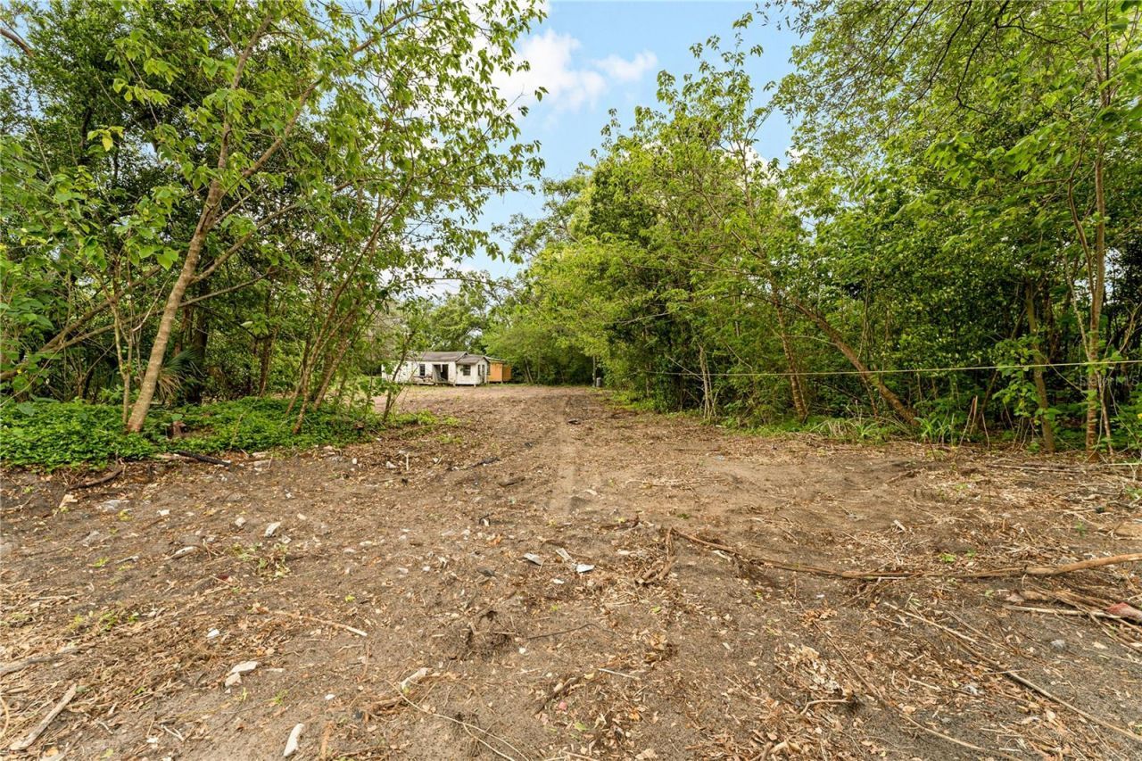 40611 Otis Allen Road, Zephyrhills, FL 33540 Photo