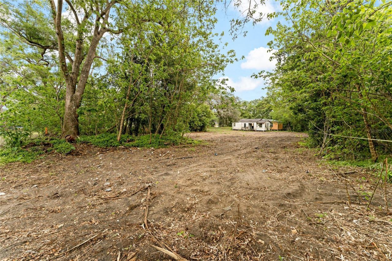 40611 Otis Allen Road, Zephyrhills, FL 33540 Photo
