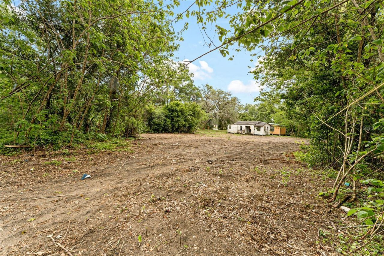 40611 Otis Allen Road, Zephyrhills, FL 33540 Photo