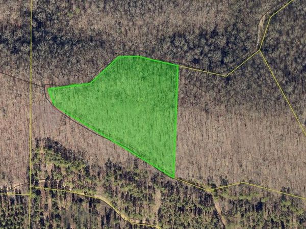 Lot Q HWY 8 E, Unit Burnham Mo, Glenwood, AR 71943