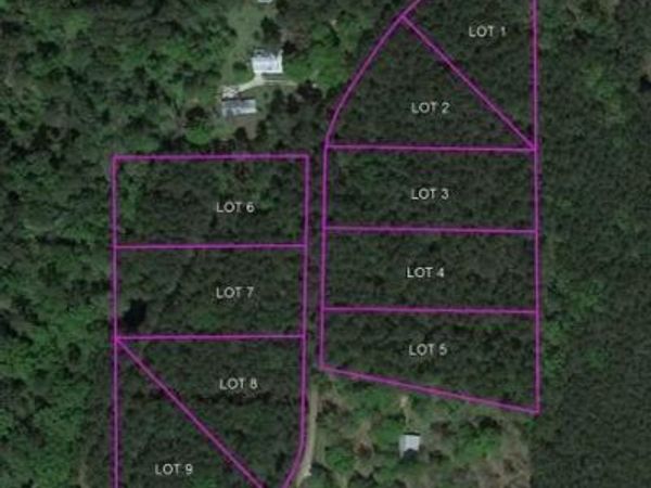 Lot 6 HUBERT STILLEY Road, Independence, LA 70443