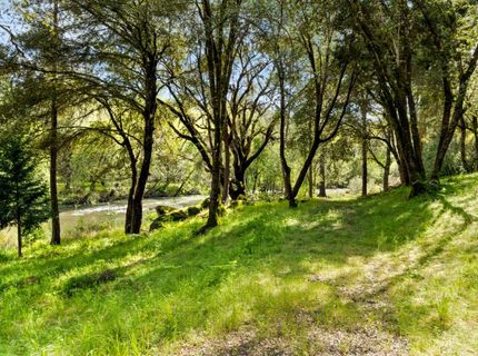 7321 Morning Canyon Rd, Placerville, CA 95667 Photo