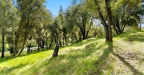 7321 Morning Canyon Rd, Placerville, CA 95667 Photo