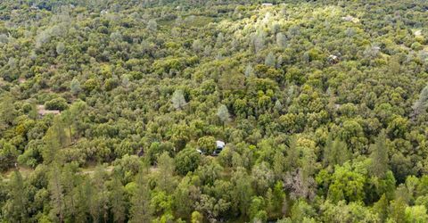 7321 Morning Canyon Rd, Placerville, CA 95667 Photo