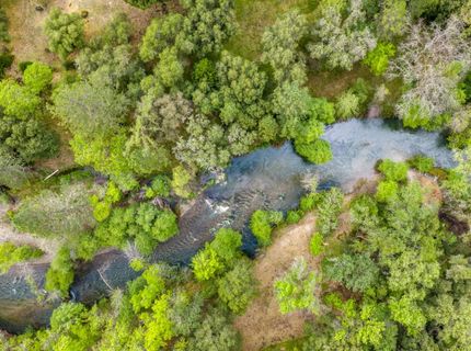 7321 Morning Canyon Rd, Placerville, CA 95667 Photo