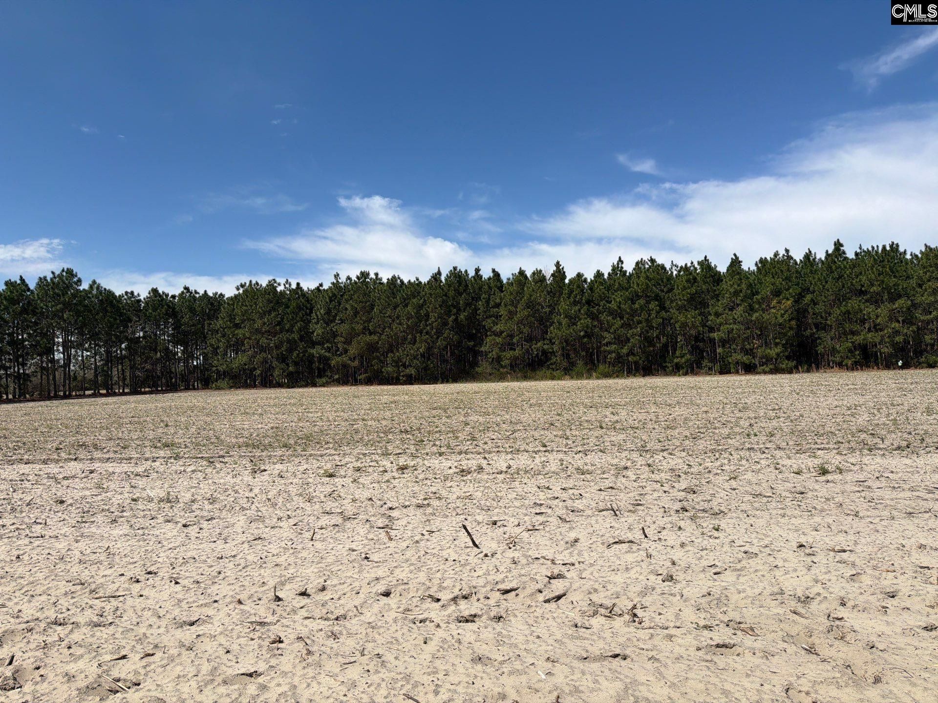 Mta 5 Heustess Road Photo 10