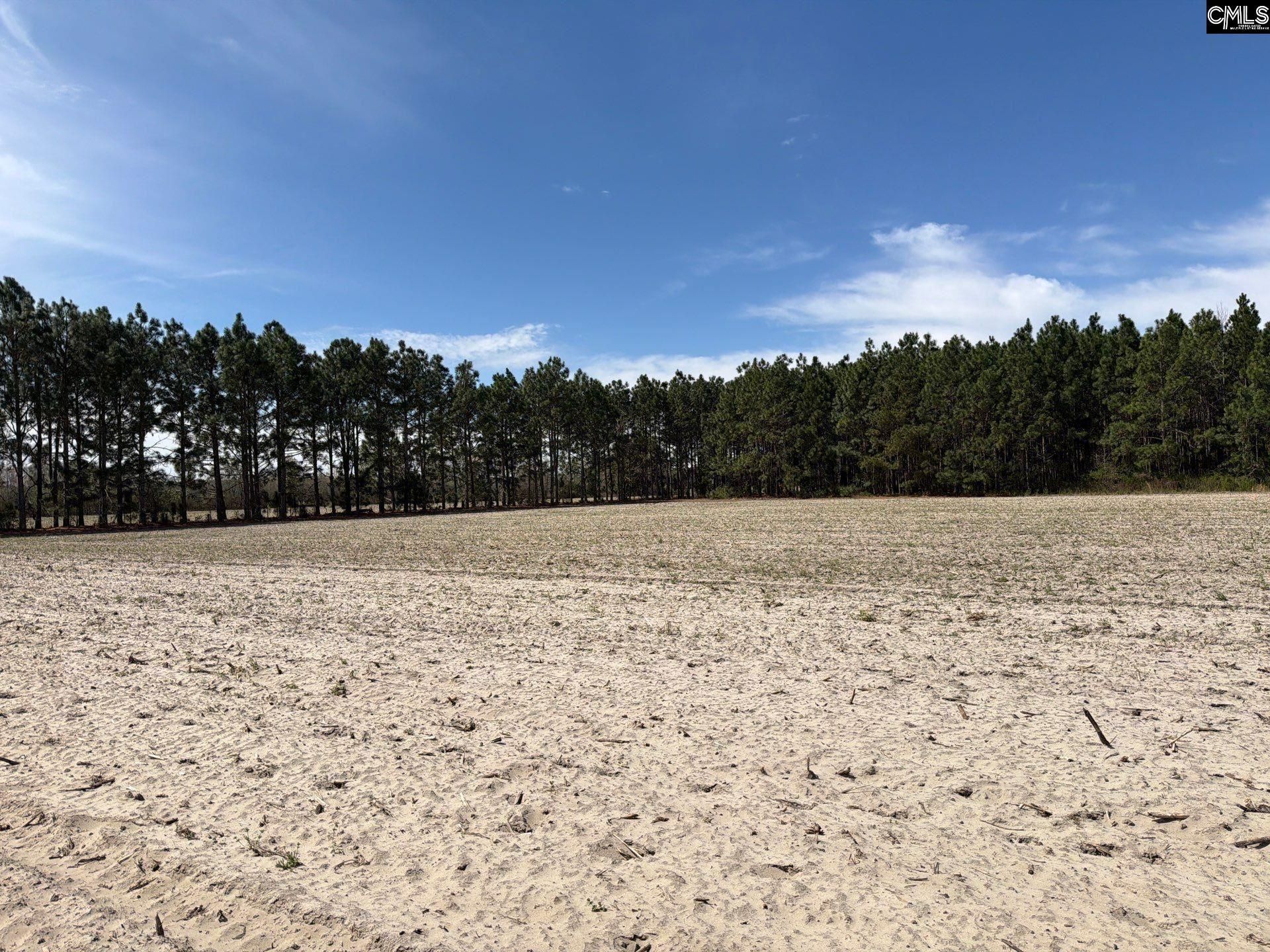 Mta 5 Heustess Road Photo 11