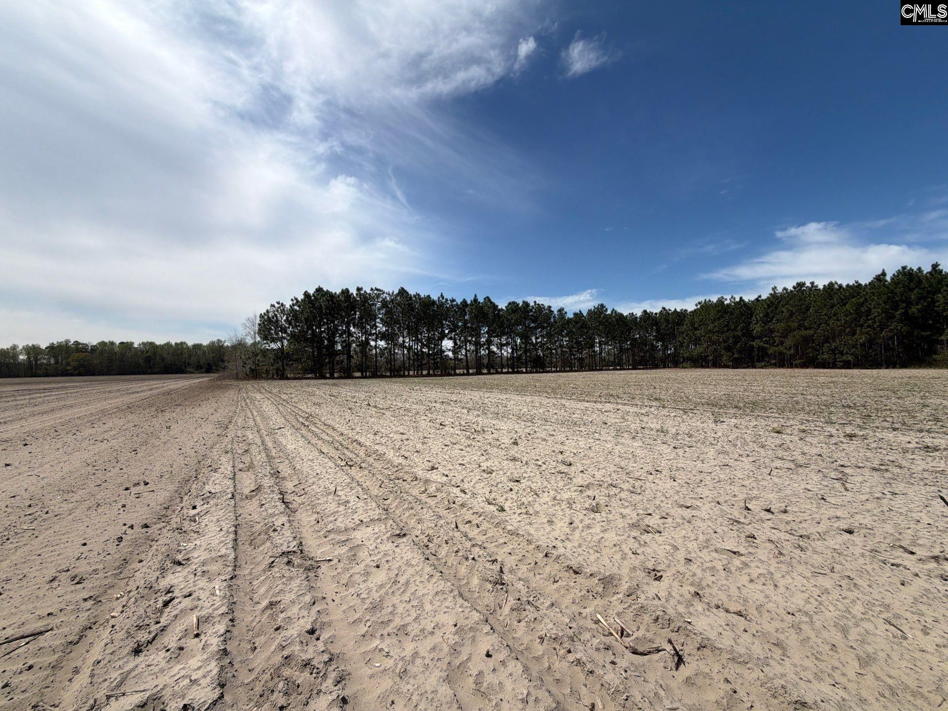 Mta 5 Heustess Road Photo 12