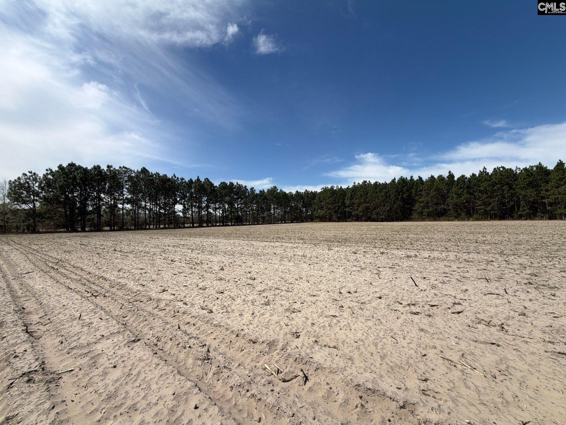 Mta 5 Heustess Road Photo 13