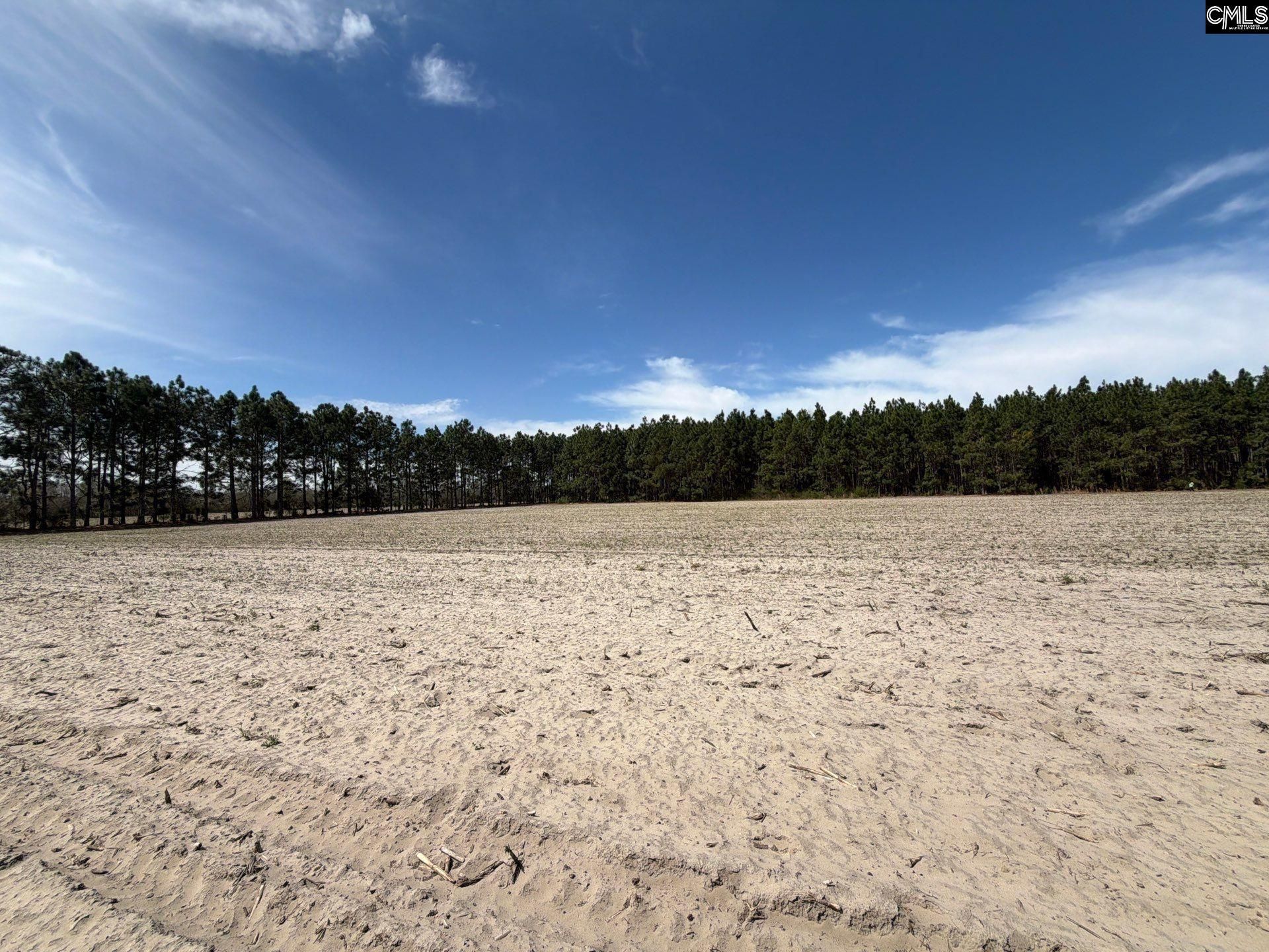 Mta 5 Heustess Road Photo 14