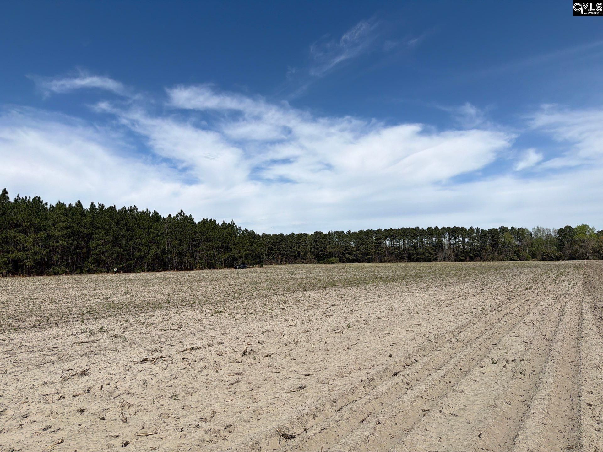 Mta 5 Heustess Road Photo 15