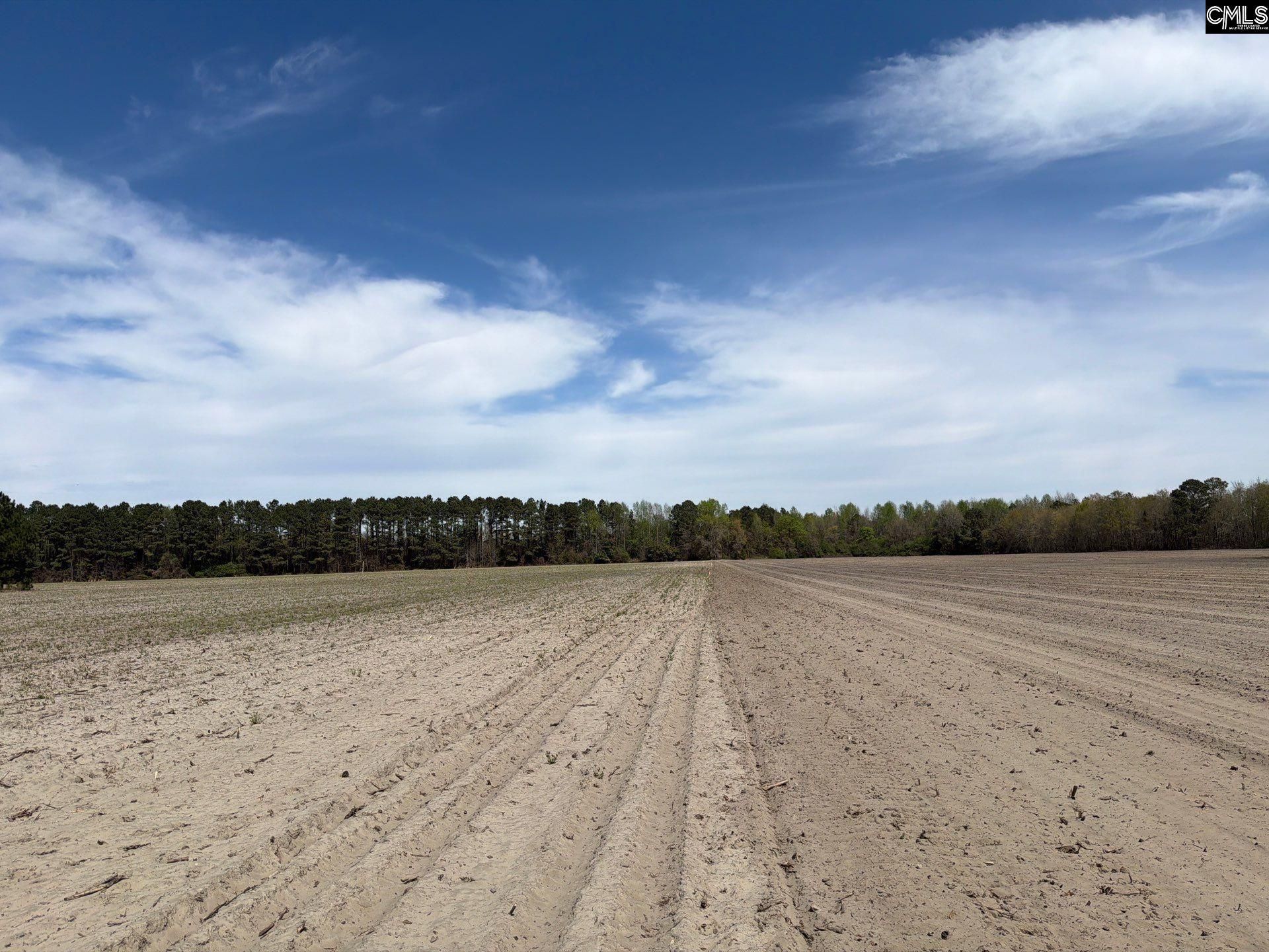 Mta 5 Heustess Road Photo 16