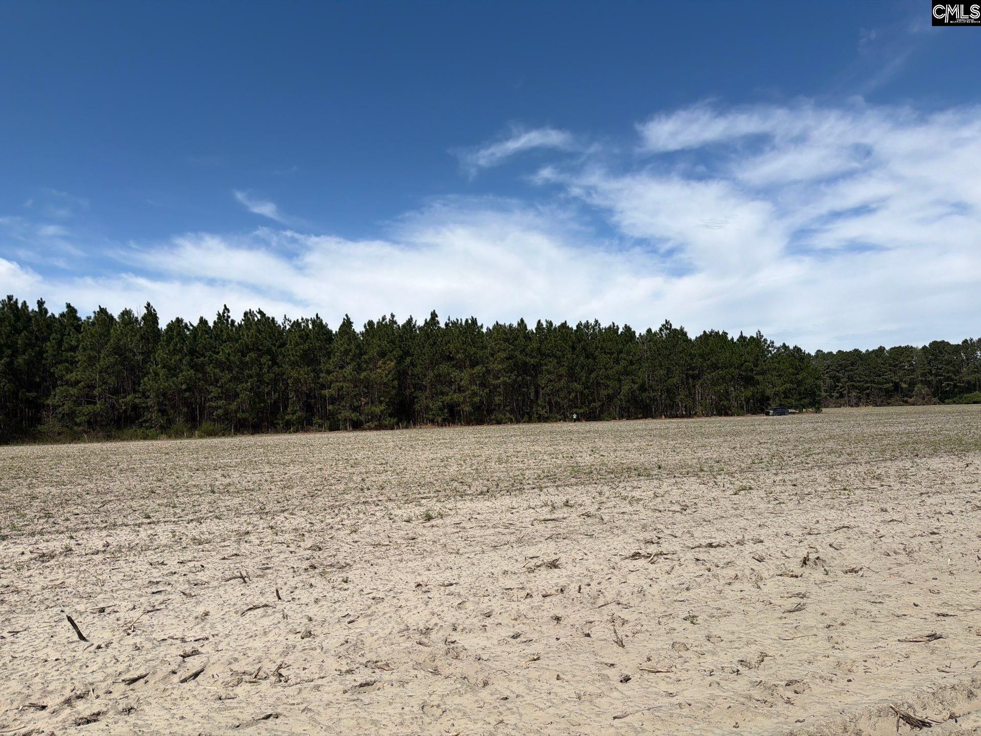 Mta 5 Heustess Road Photo 17