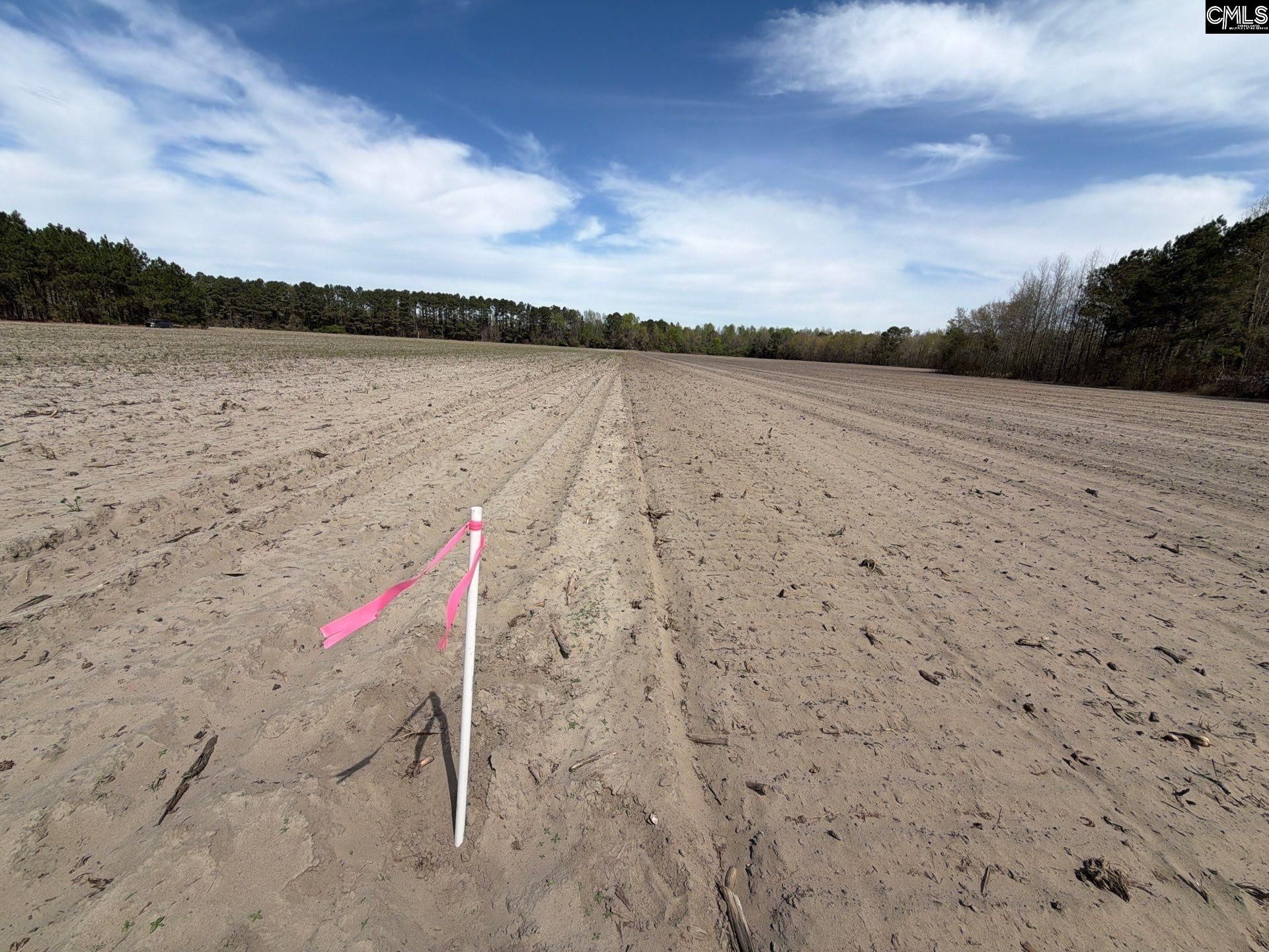 Mta 5 Heustess Road Photo 18