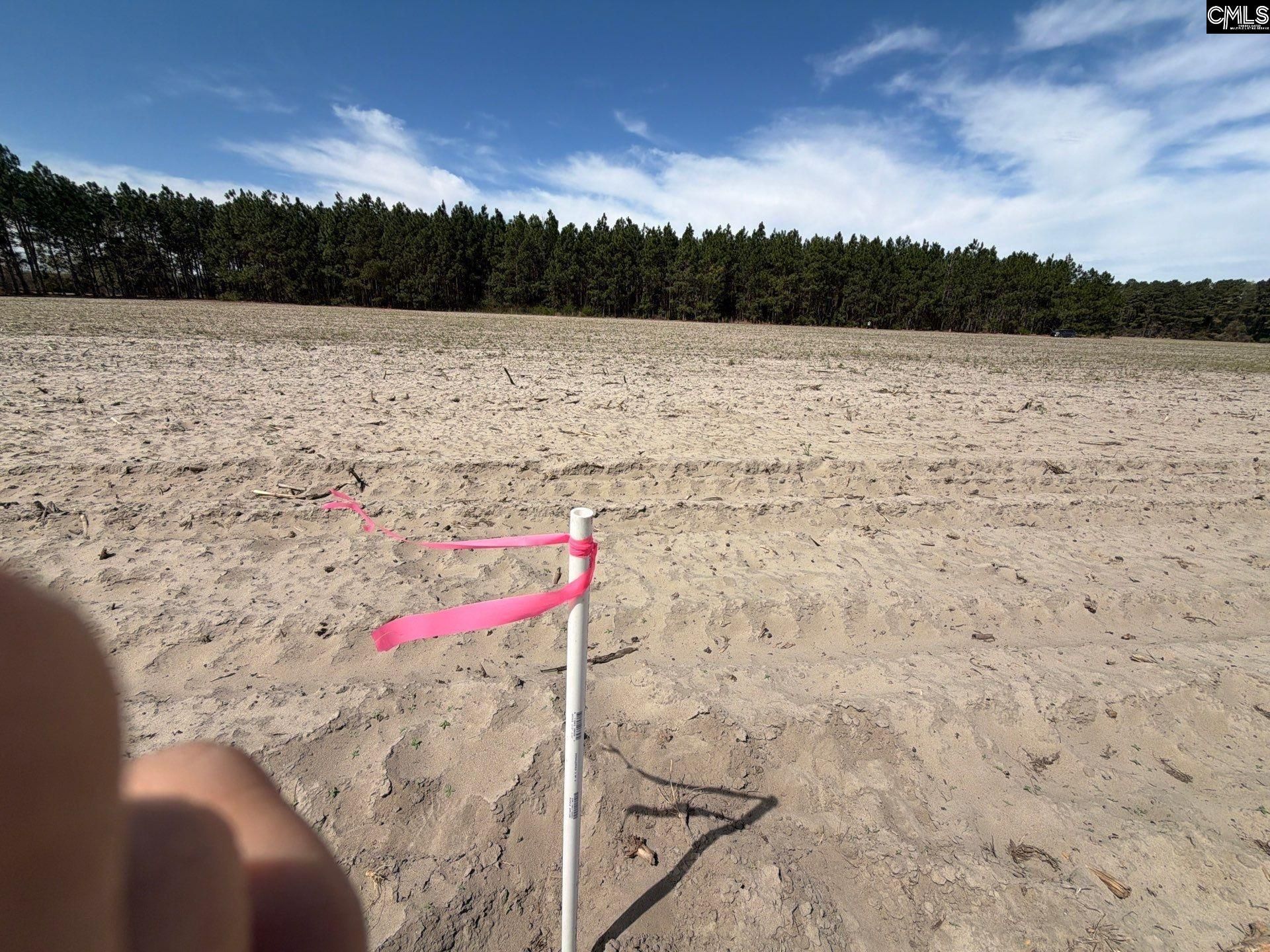 Mta 5 Heustess Road Photo 19