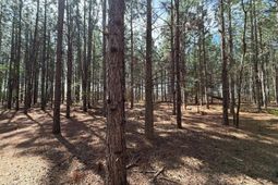 Mta 5 Heustess Road photo 4