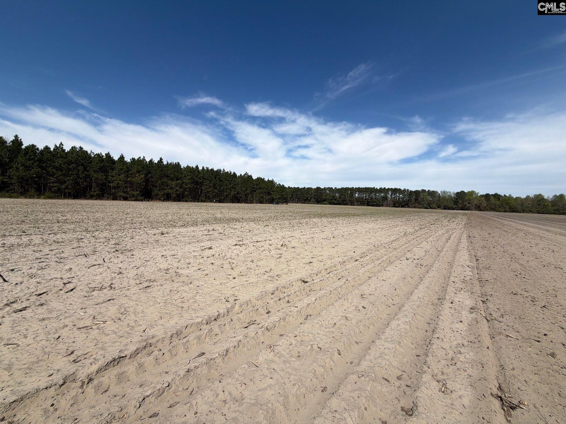 Mta 5 Heustess Road Photo 20