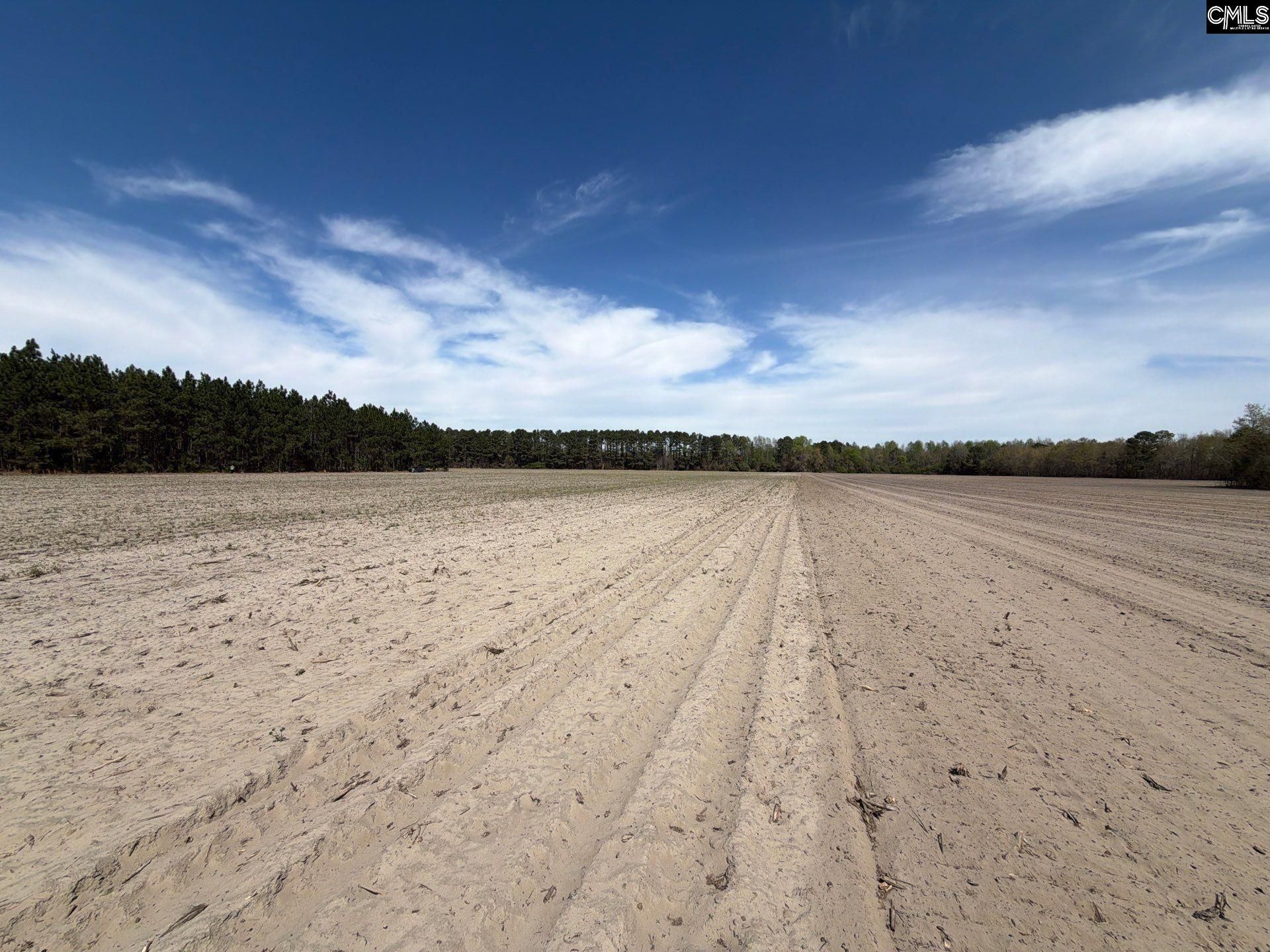 Mta 5 Heustess Road Photo 21