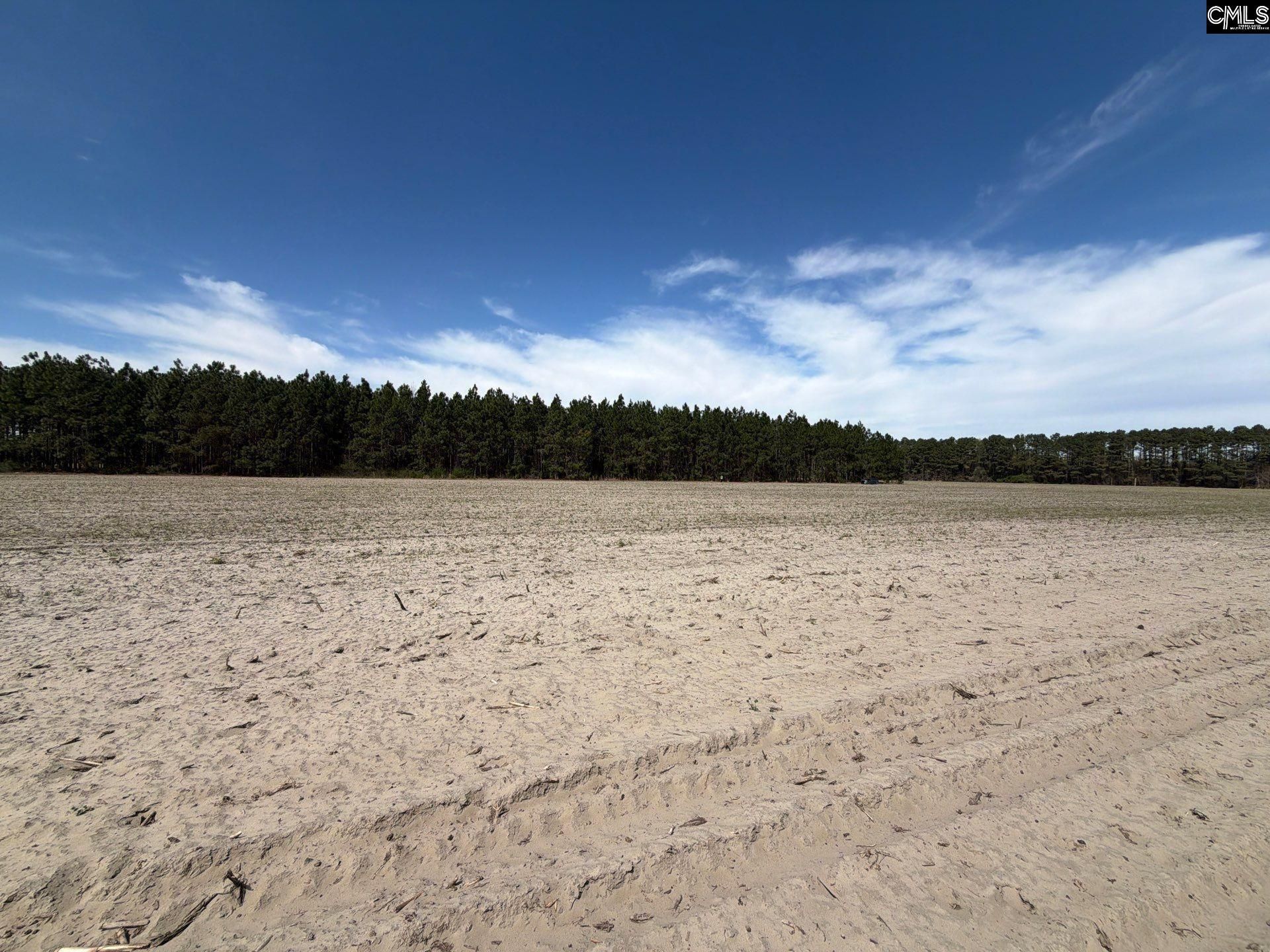 Mta 5 Heustess Road Photo 22