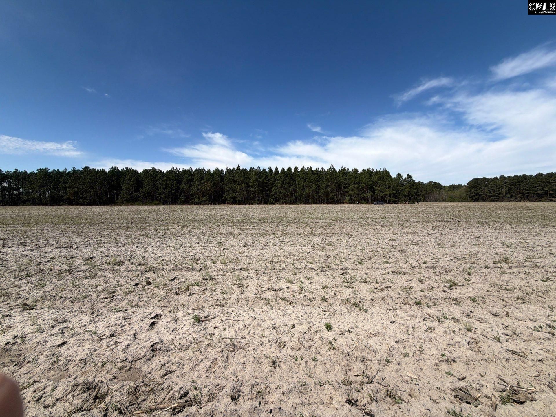 Mta 5 Heustess Road Photo 23