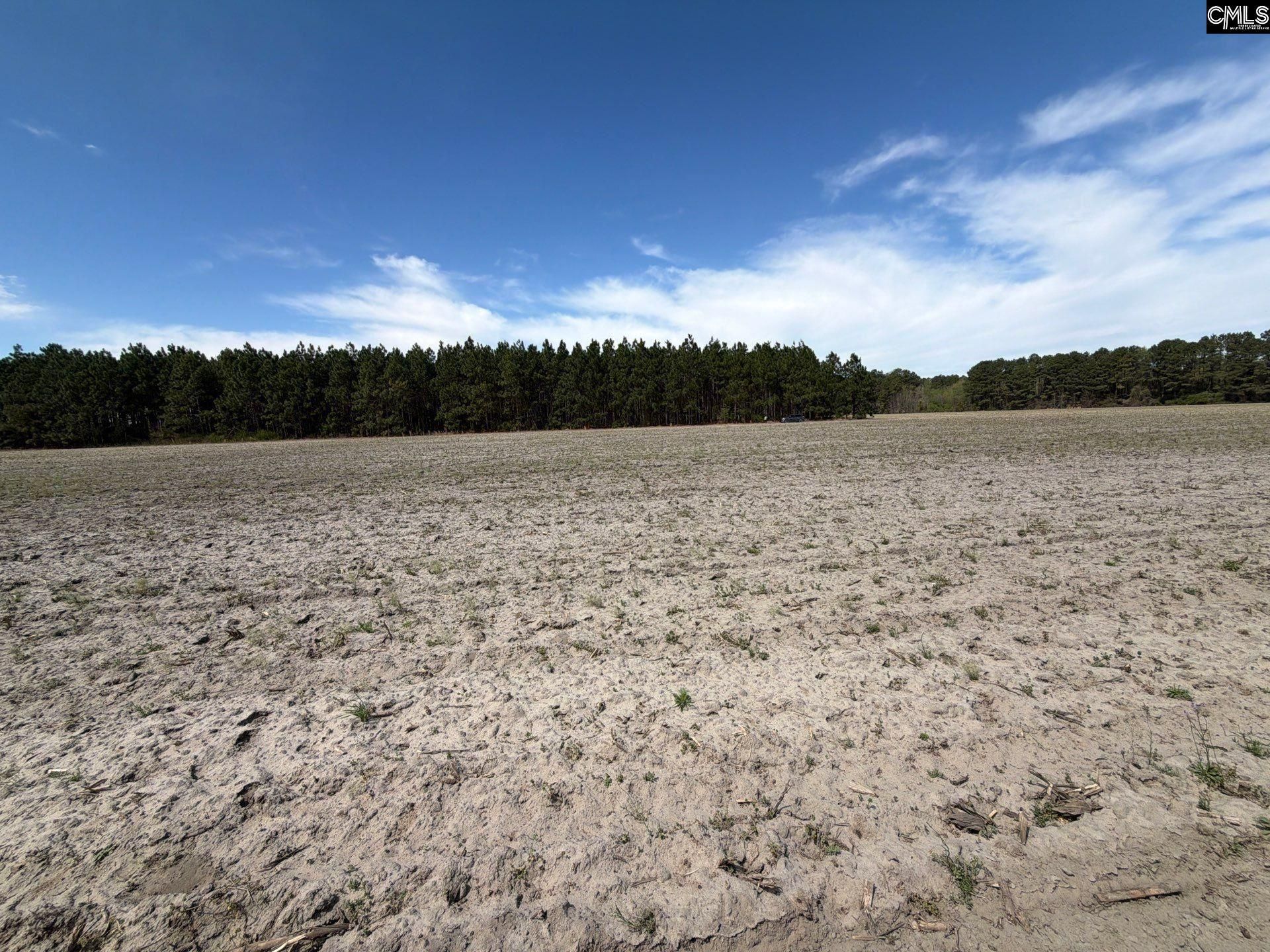 Mta 5 Heustess Road Photo 24