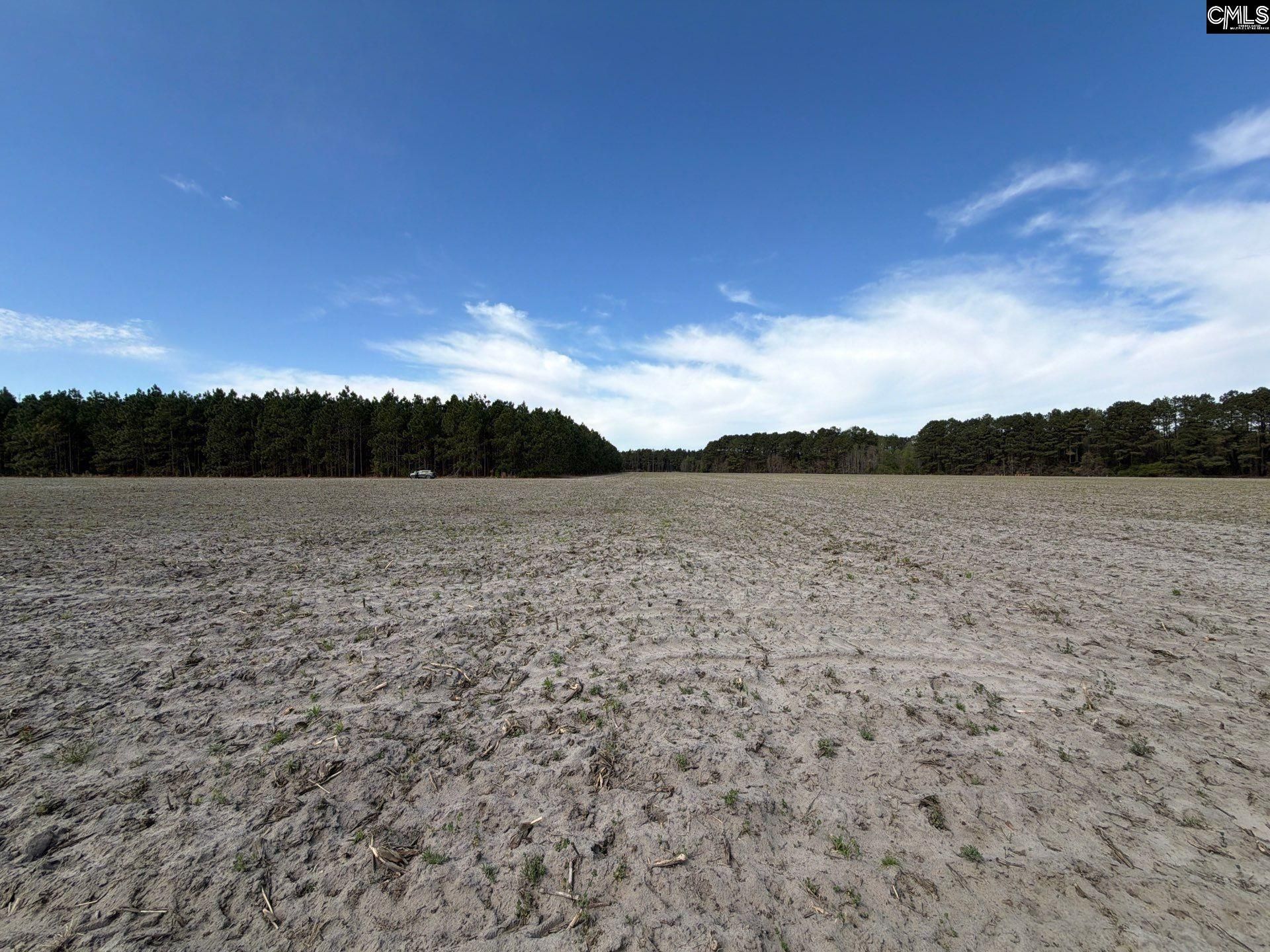 Mta 5 Heustess Road Photo 25