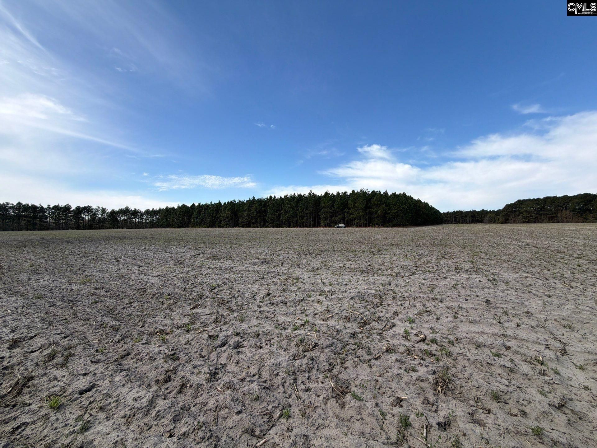 Mta 5 Heustess Road Photo 26