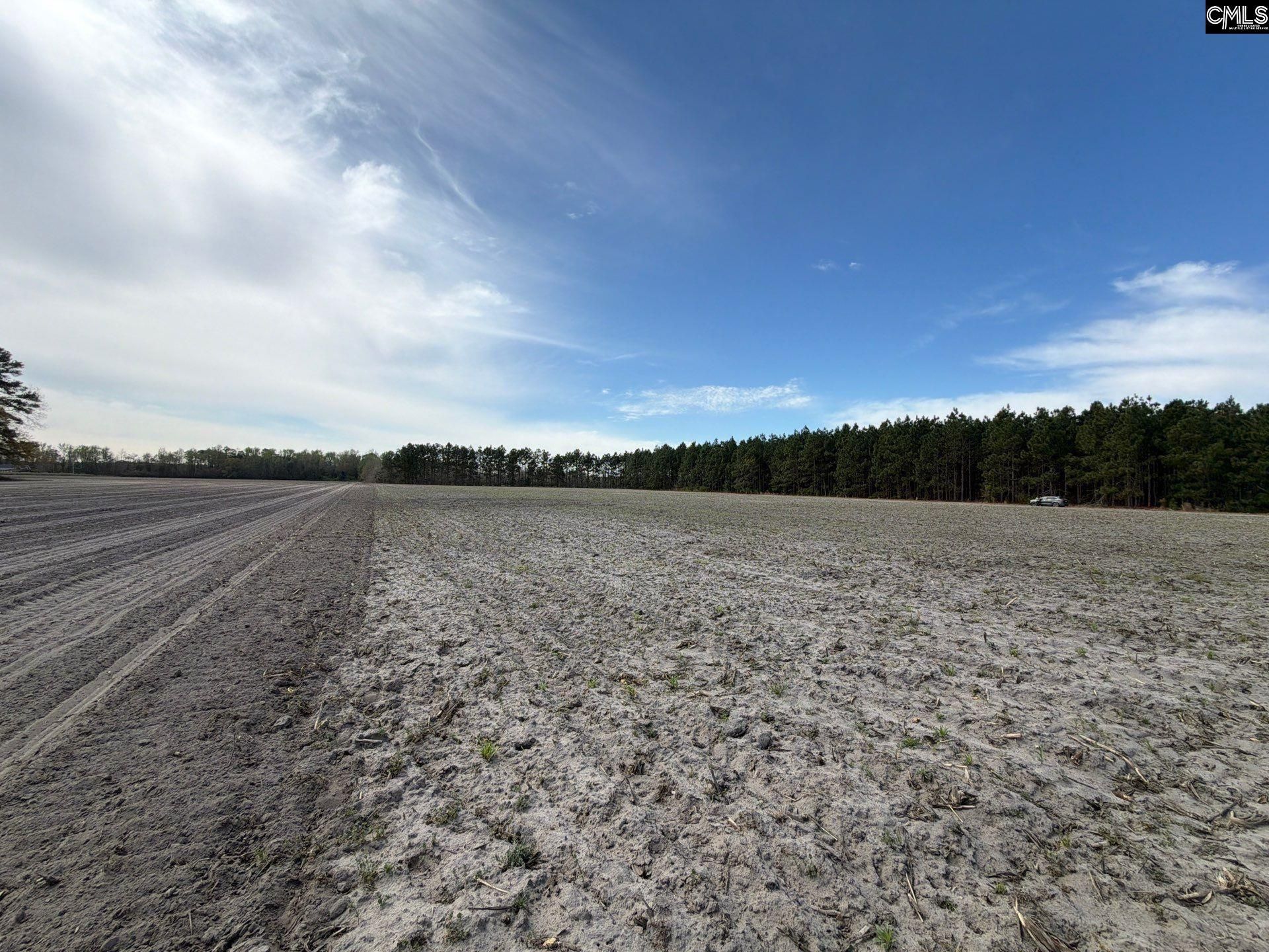 Mta 5 Heustess Road Photo 27