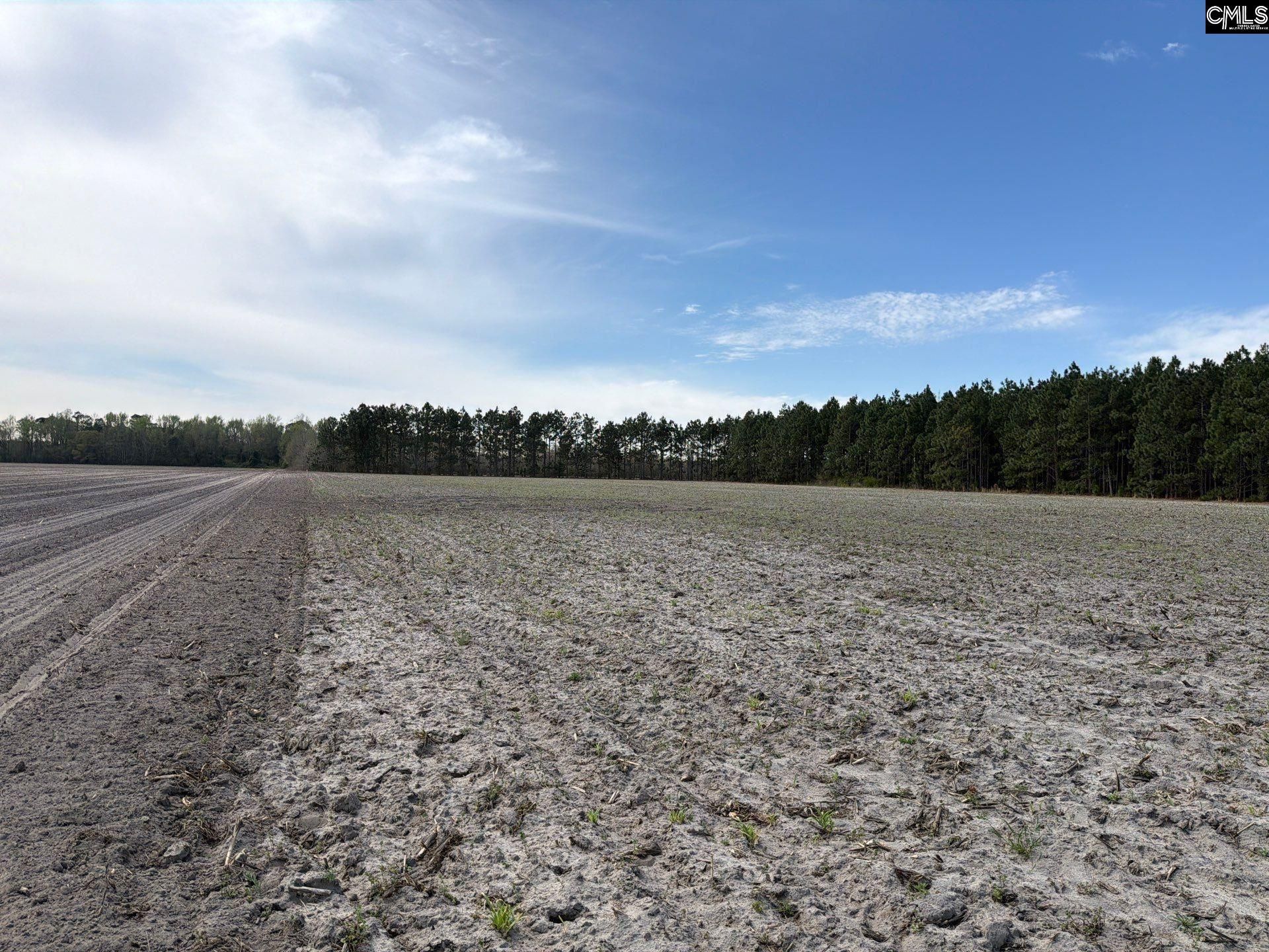 Mta 5 Heustess Road Photo 28