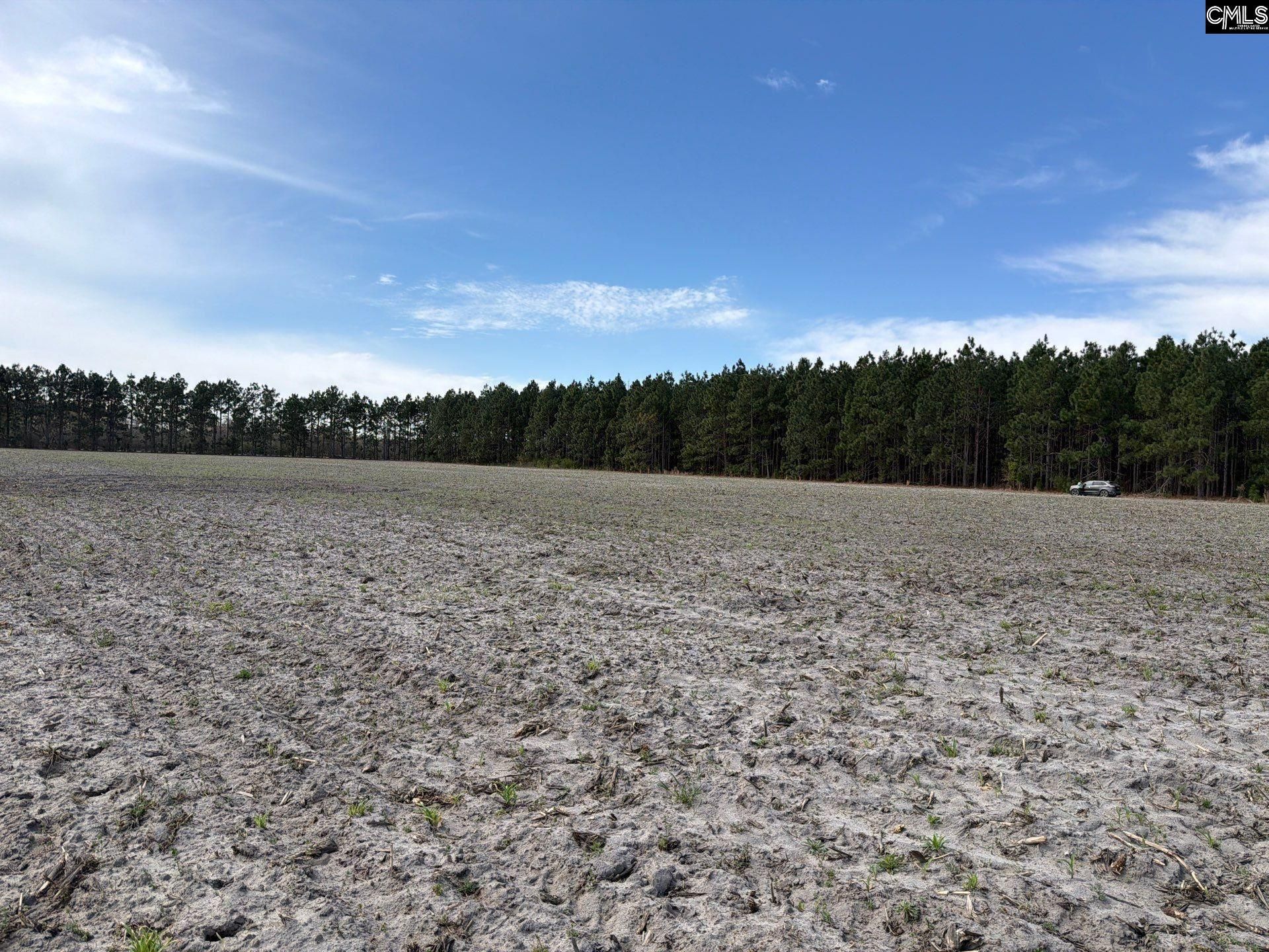 Mta 5 Heustess Road Photo 29