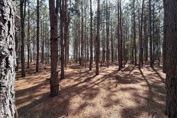 Mta 5 Heustess Road photo 4