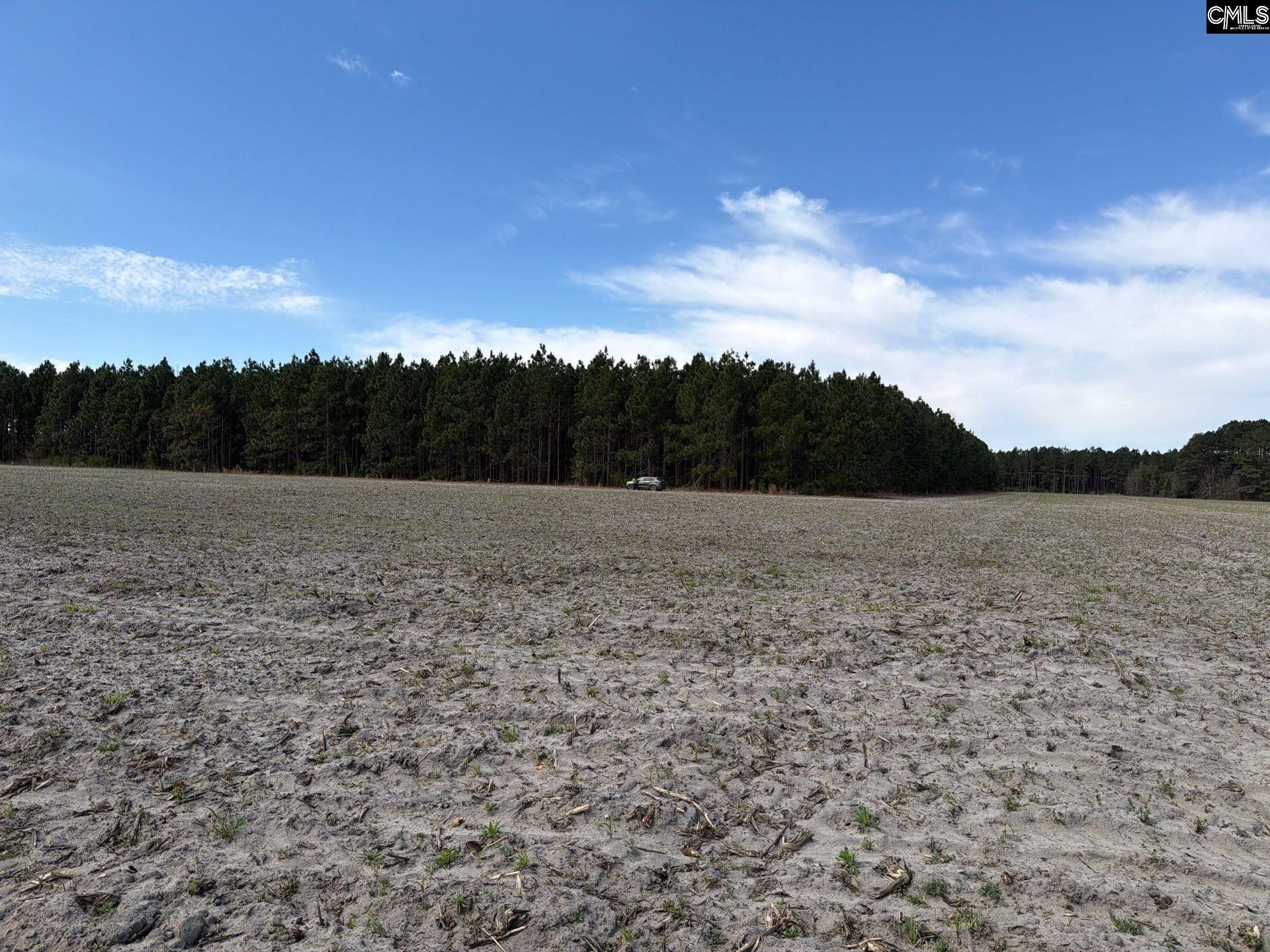 Mta 5 Heustess Road Photo 30