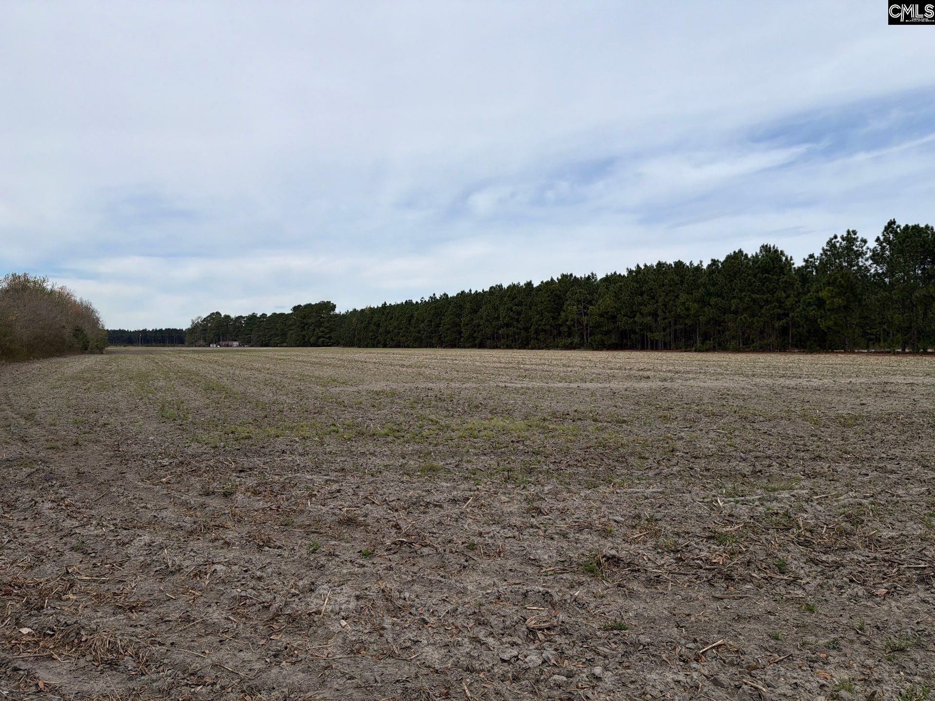 Mta 5 Heustess Road Photo 31