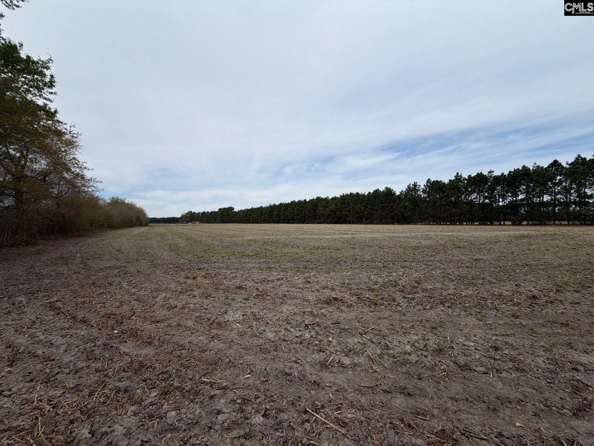 Mta 5 Heustess Road Photo 32