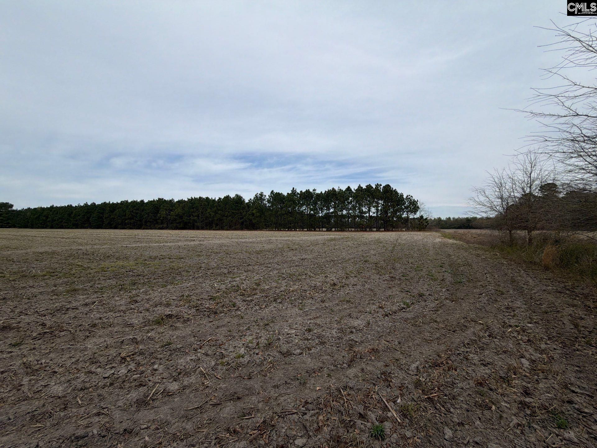 Mta 5 Heustess Road Photo 33