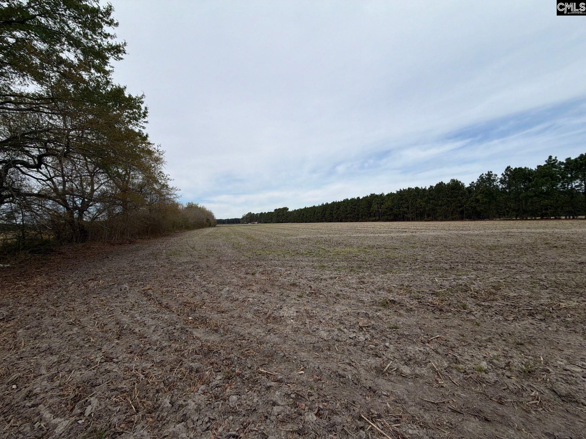 Mta 5 Heustess Road Photo 34