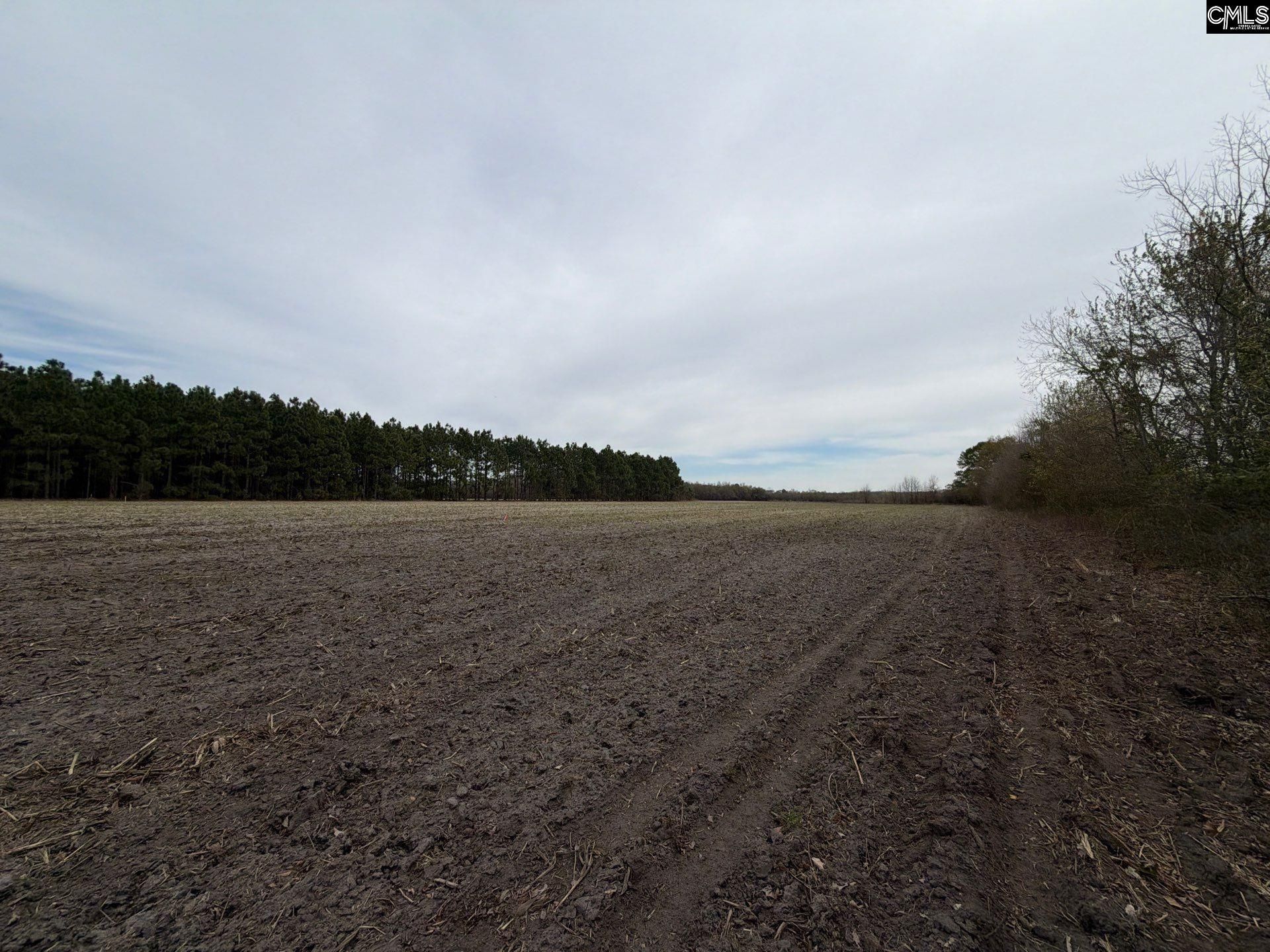 Mta 5 Heustess Road Photo 35