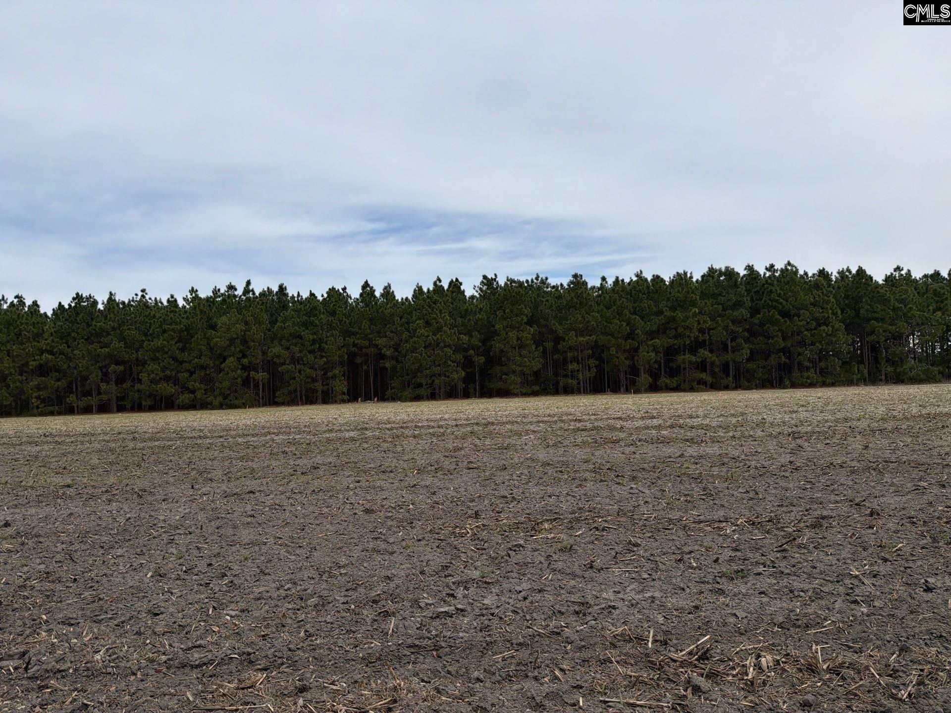 Mta 5 Heustess Road Photo 36