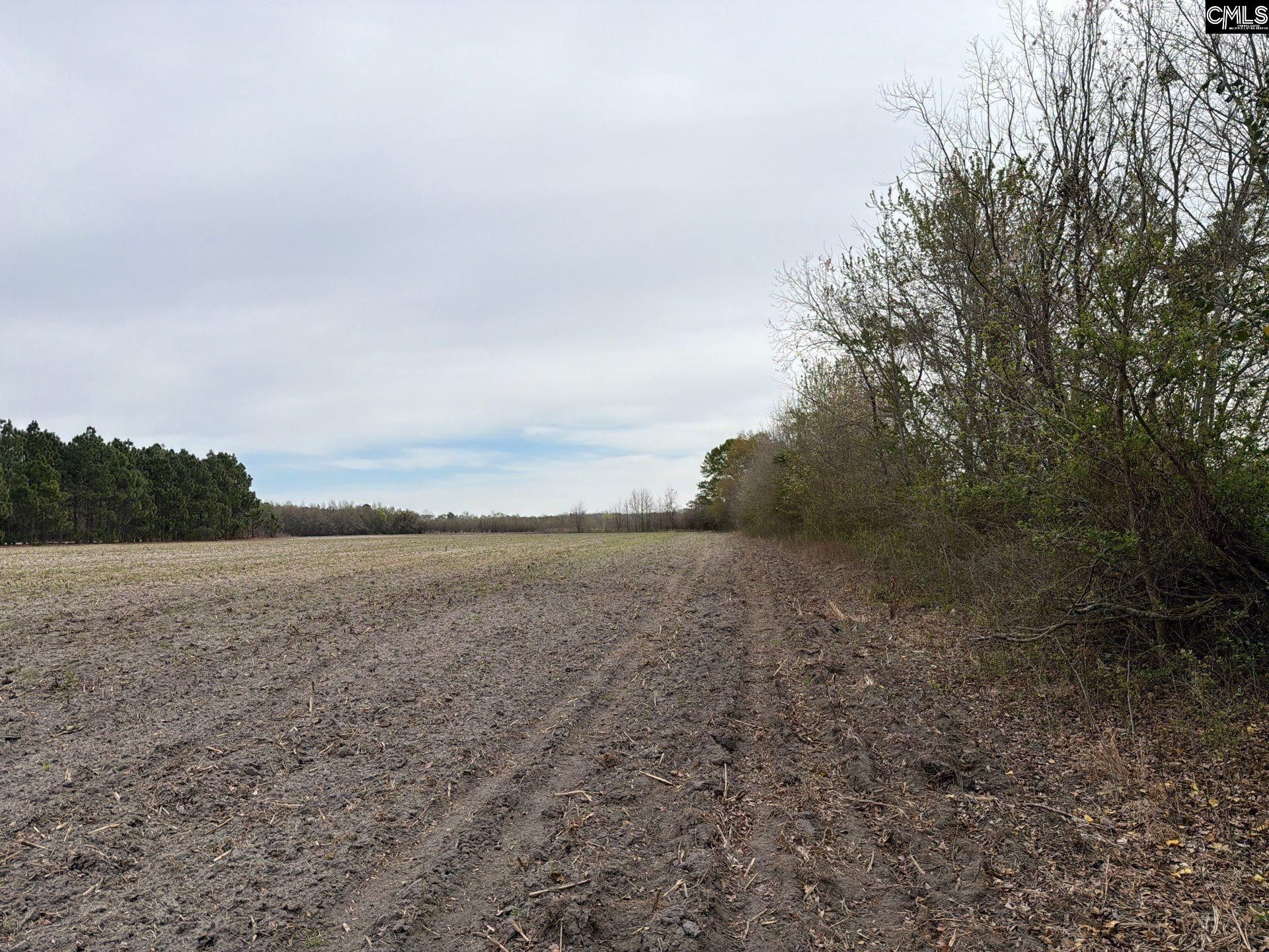 Mta 5 Heustess Road Photo 37