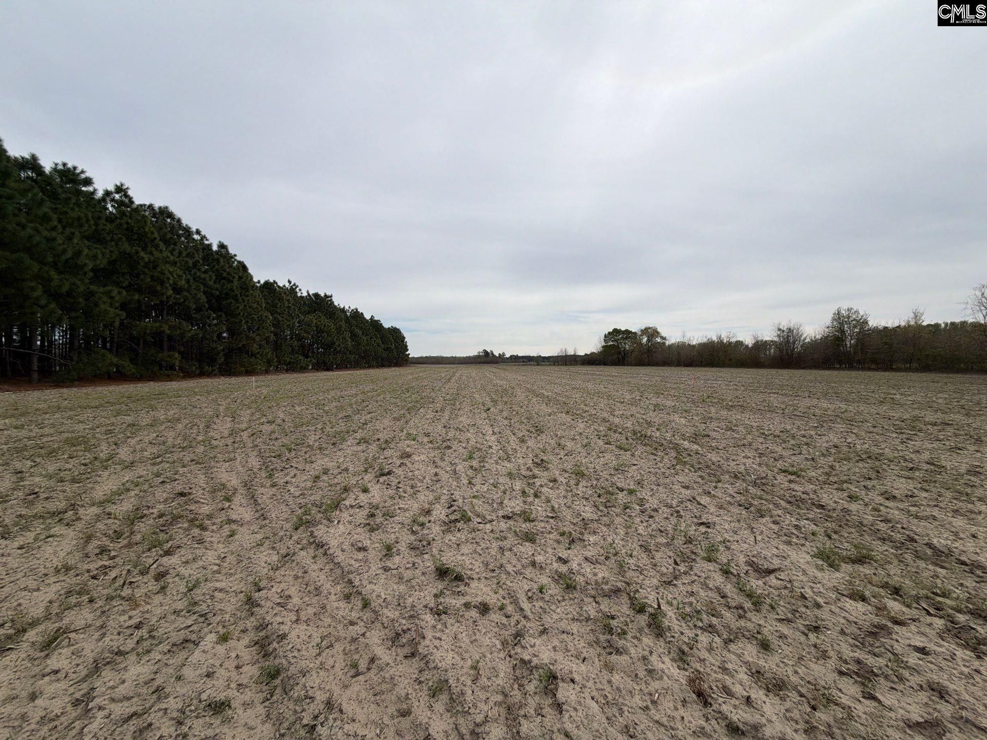 Mta 5 Heustess Road Photo 38