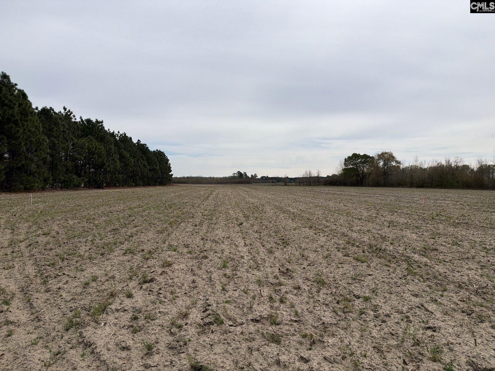 Mta 5 Heustess Road Photo 39