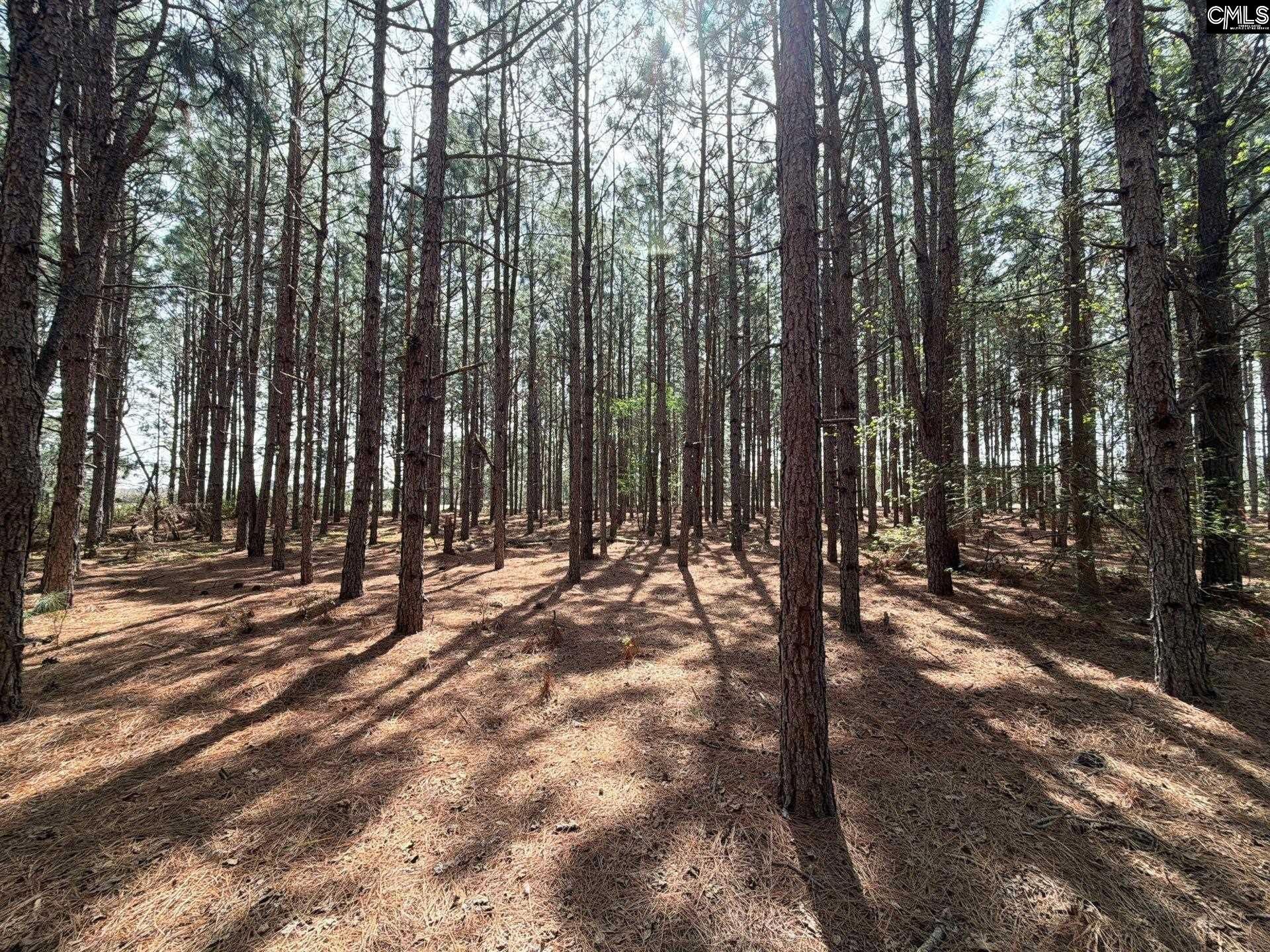 Mta 5 Heustess Road Photo 4