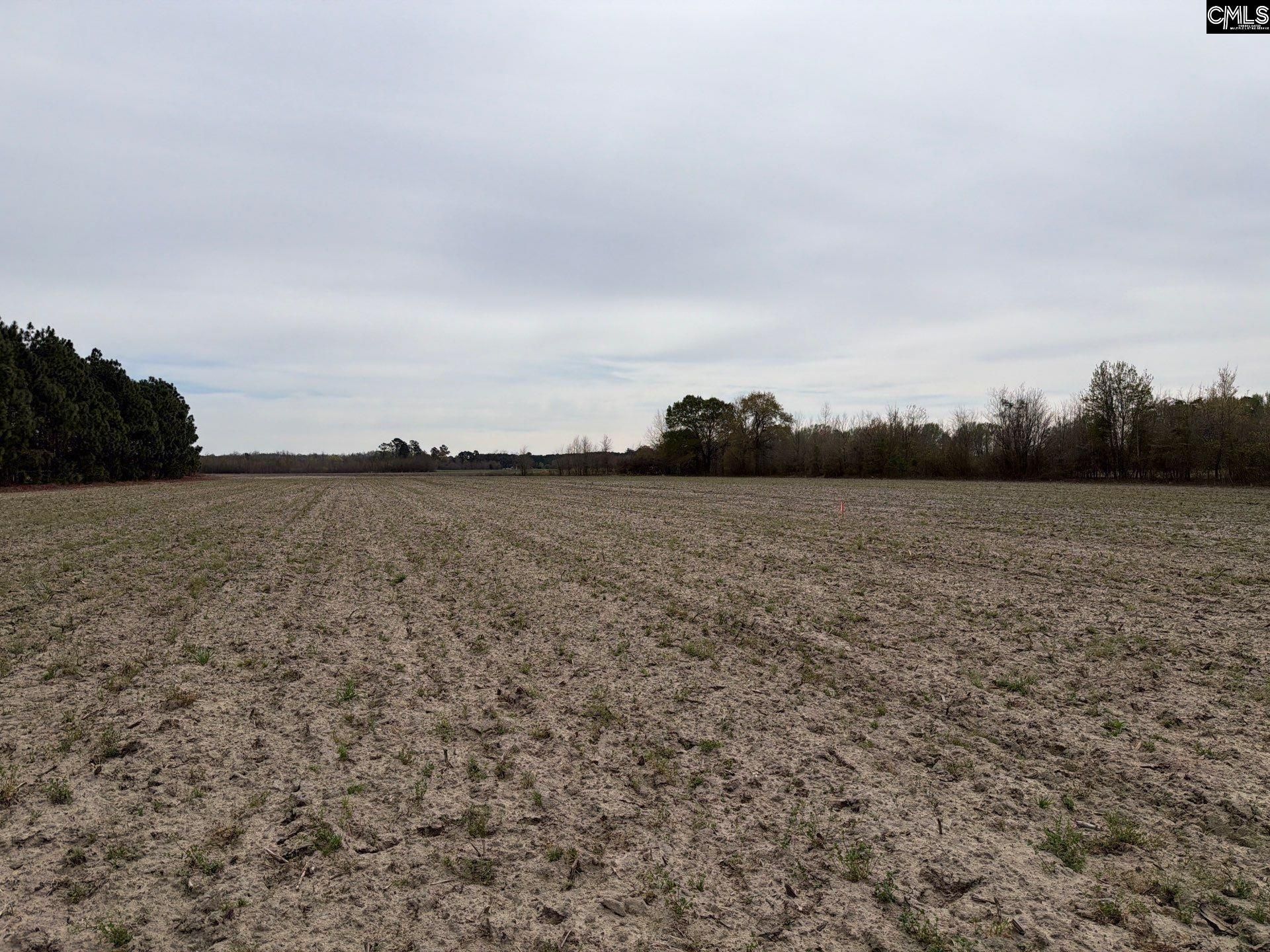 Mta 5 Heustess Road Photo 40